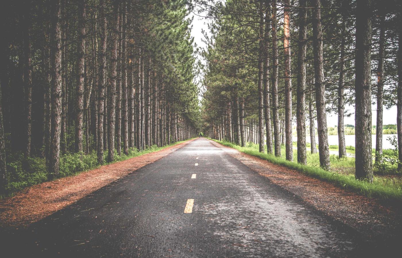 Diseño artístico aplicado en la identidad corporativa de una marca, incluyendo logos abstractos