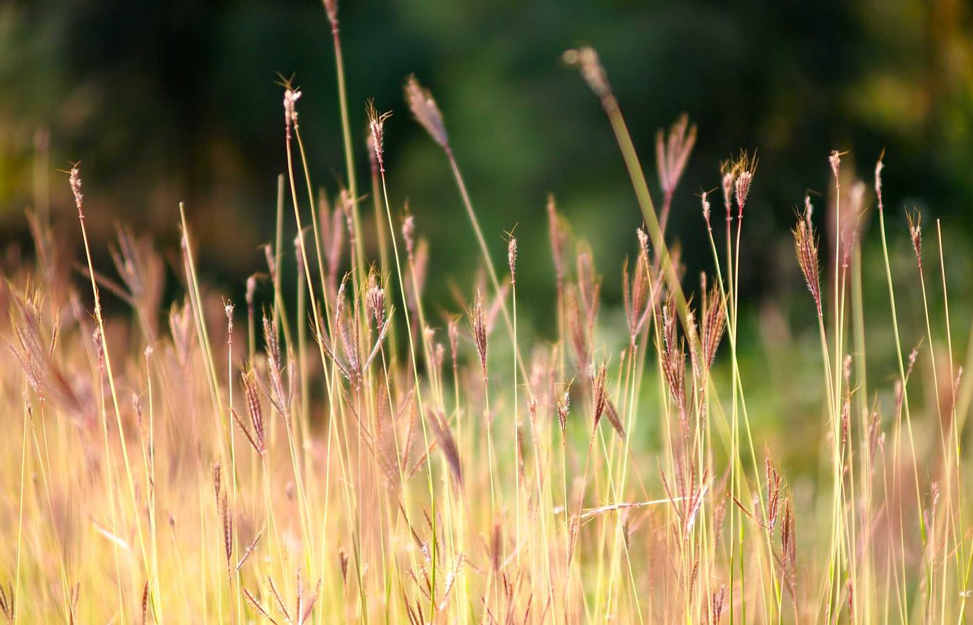 Fotografía de perfil de cliente satisfecho